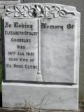image of grave number 93003